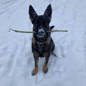 Meet your Posher, Mrs